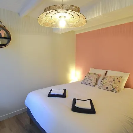 L'ecrin Du Bourg - 2 Min Chateau & Maison Bernadette Lourdes