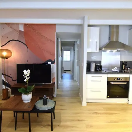 Apartment L'ecrin Du Bourg - 2 Min Chateau & Maison Bernadette Lourdes