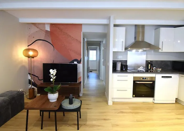 Apartment L'ecrin Du Bourg - 2 Min Chateau & Maison Bernadette Lourdes