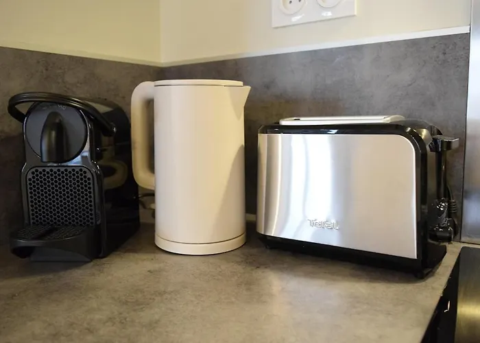 L'ecrin Du Bourg - 2 Min Chateau & Maison Bernadette * Лурд