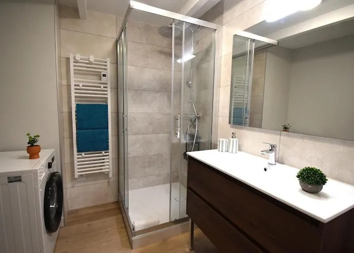 L'ecrin Du Bourg - 2 Min Chateau & Maison Bernadette Apartment Lourdes